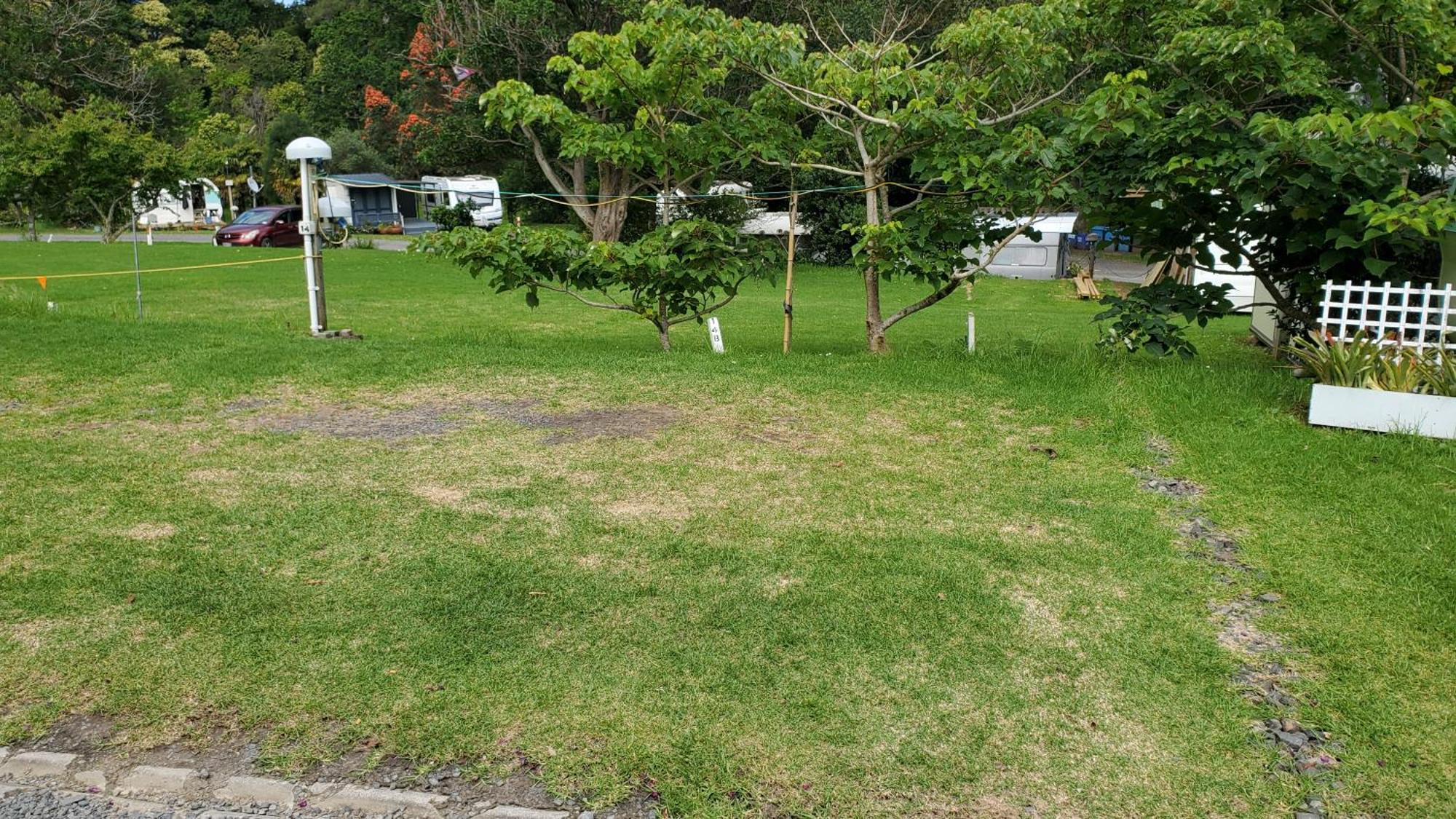 תמז Dickson Holiday Park מראה חיצוני תמונה